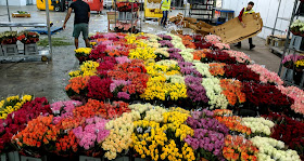 National Flower Traders