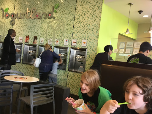 Frozen Yogurt Shop «Yogurtland», reviews and photos, 4170 Lavon Dr #176, Garland, TX 75040, USA