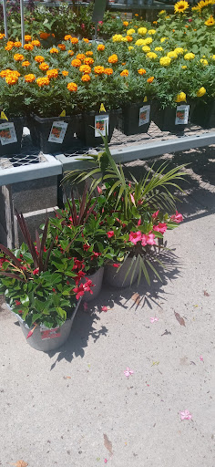 Home Improvement Store «The Home Depot», reviews and photos, 4829 US-90, Pace, FL 32571, USA