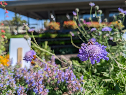 Hardware Store «Ace Los Gatos Hardware», reviews and photos, 15300 Los Gatos Blvd, Los Gatos, CA 95032, USA