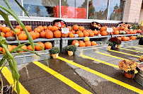 The Home Depot - Photo 8 - Car repair in Sherwood, OR, Hillsboro