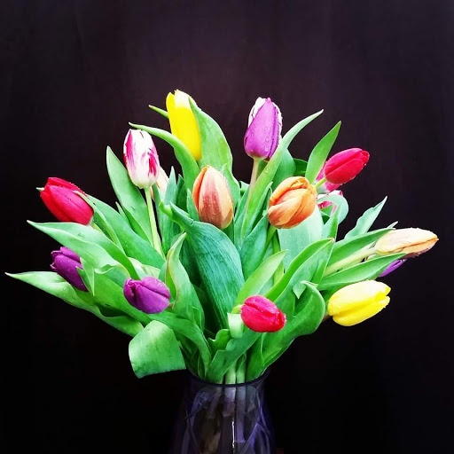 Florist «All Occasion Flowers and Gifts», reviews and photos, 1330 Trotwood Ave, Columbia, TN 38401, USA