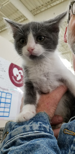 Pet Supply Store «Pet Supplies Plus», reviews and photos, 6159 Kalamazoo Ave SE, Grand Rapids, MI 49508, USA