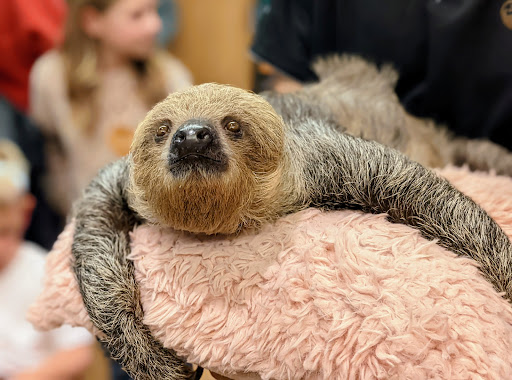 Nature Preserve «Swaner Preserve and EcoCenter», reviews and photos, 1258 Center Dr, Park City, UT 84098, USA