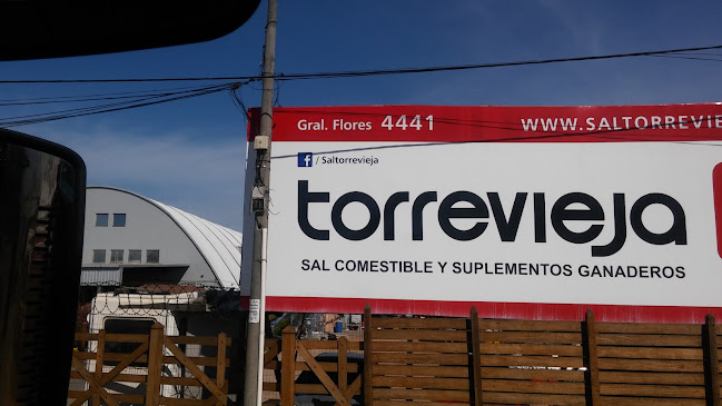 Torrevieja - Tienda de ultramarinos