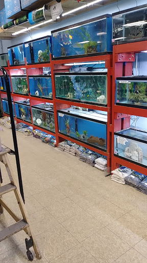 Pet Store «Everything Pets», reviews and photos, 1506 Altamont Ave, Schenectady, NY 12303, USA