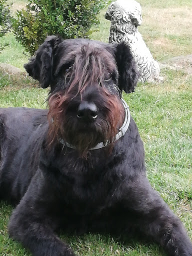 Chiro Solution unter Plön, 