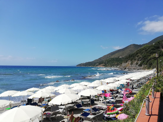 Stella del Sud