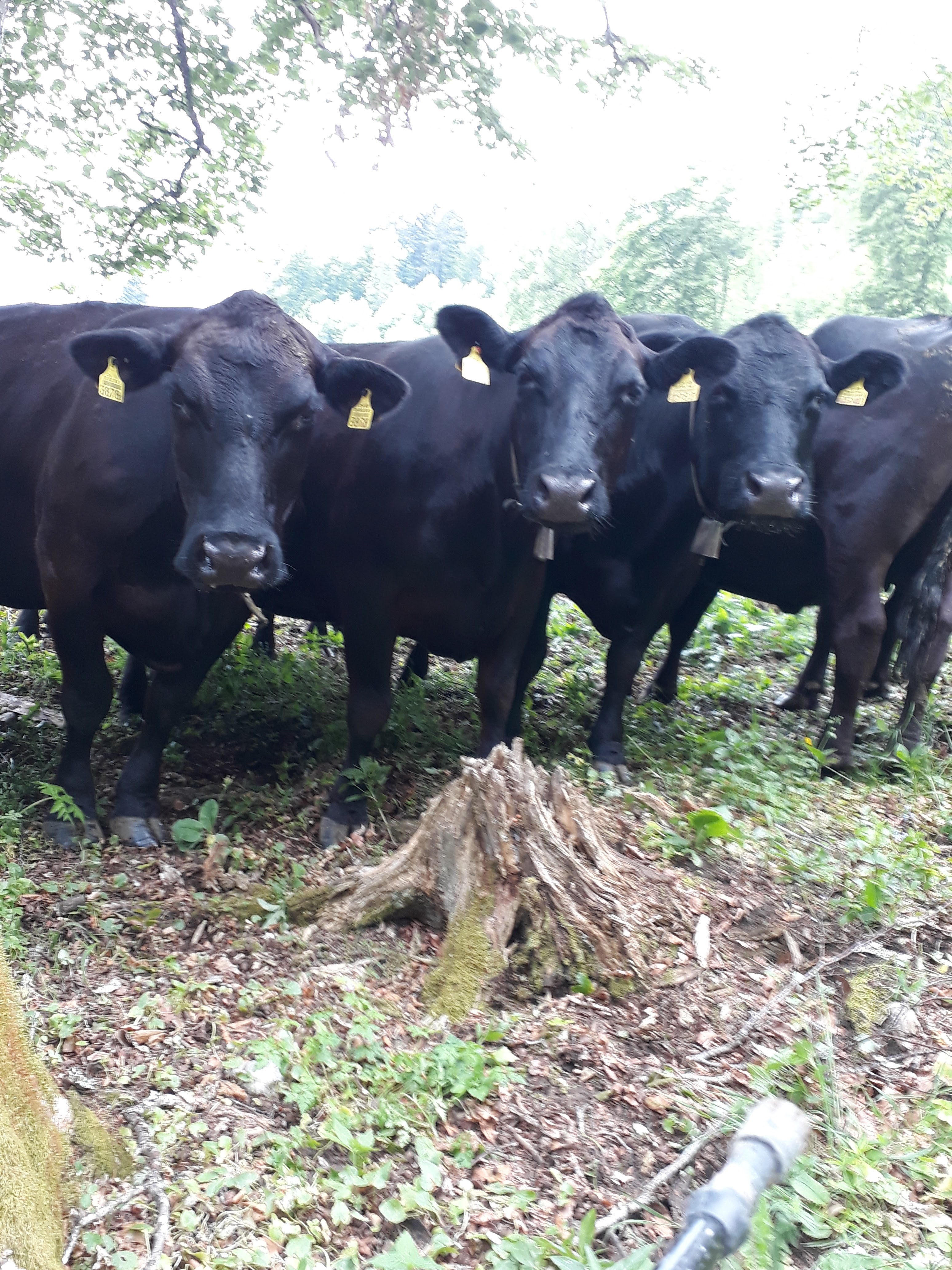 Photo n° 4 de l'avis de Wilma.o fait le 16/06/2018 à 07:11
