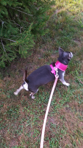 Park «Bradford Hawes Park», reviews and photos, 167 Lakehurst Ave, Weymouth, MA 02189, USA