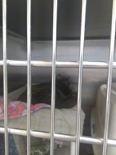 Pet Supply Store «PetSmart», reviews and photos, 1072 Bullsboro Dr, Newnan, GA 30265, USA