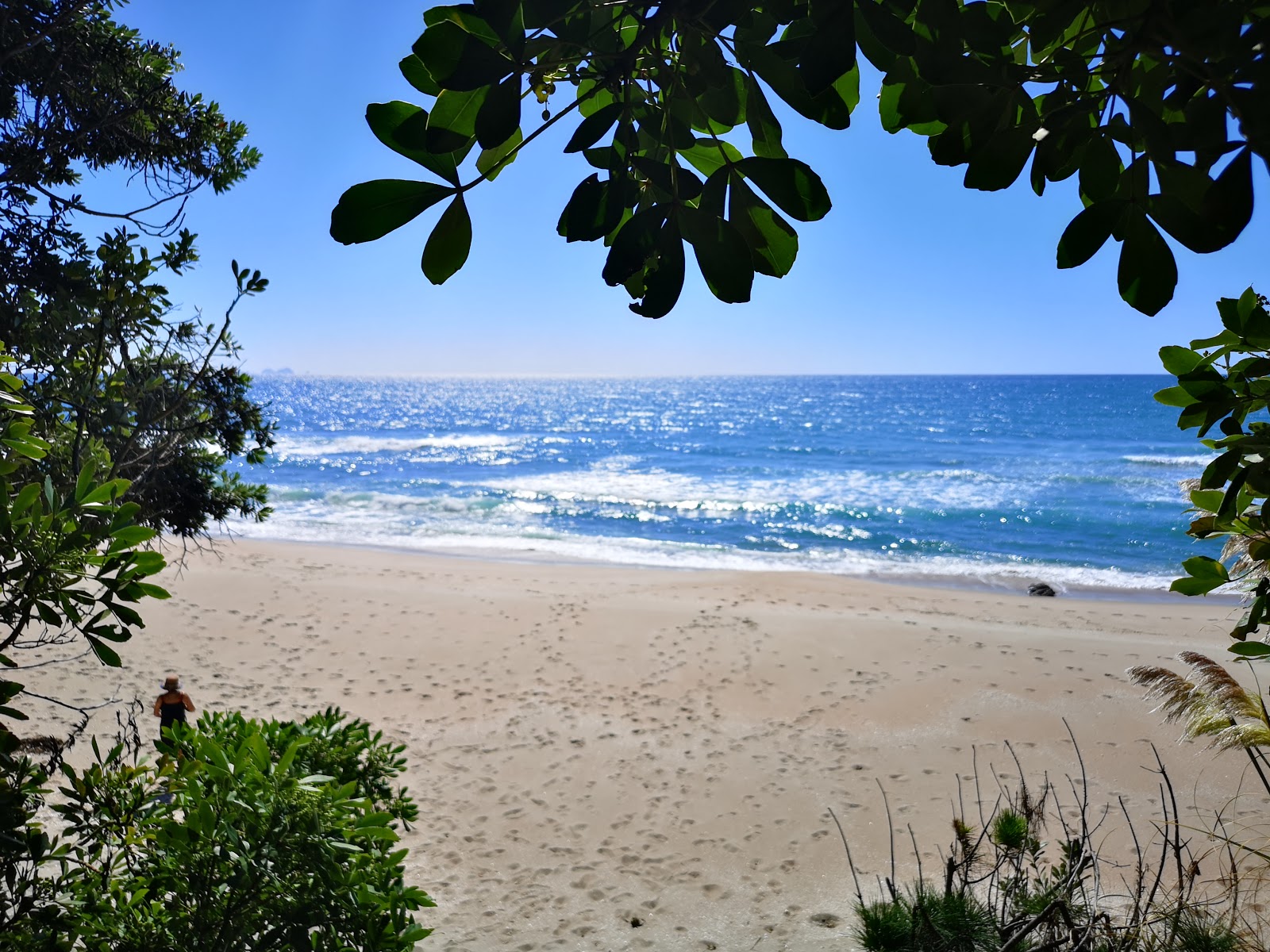 Foto av Will Hamilton Beach med lång rak strand
