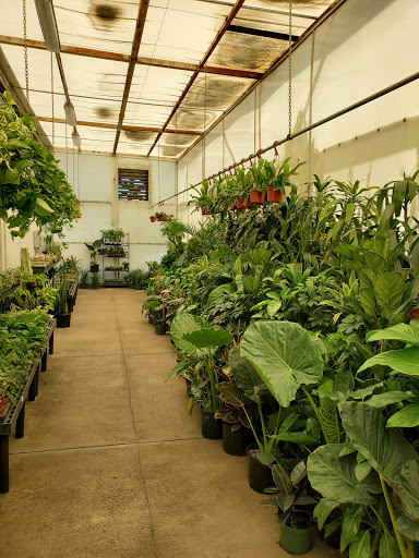 Hardware Store «Payless Hardware, Rockery and Nursery», reviews and photos, 2927 King Rd, San Jose, CA 95122, USA