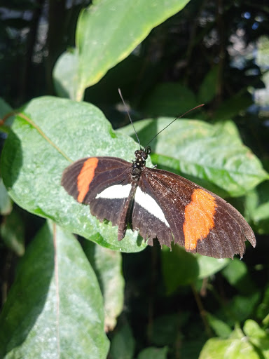 Zoo «Butterfly Habitat», reviews and photos, 1001 Fairgrounds Dr, Vallejo, CA 94589, USA