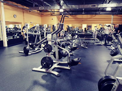 The Zoo Health Club Manchester - 377 S Willow St suite b2-1, Manchester, NH 03103
