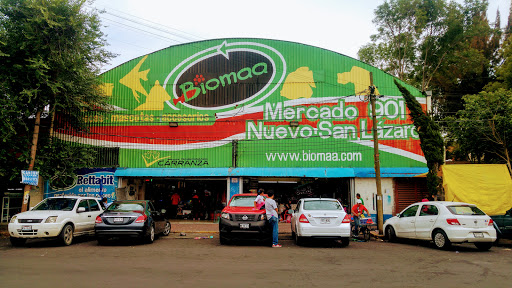 Parrot shops in Mexico City