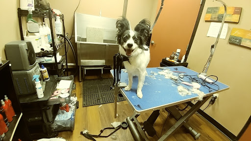 Pet Store «Pet Valu», reviews and photos, 2645 Shillington Rd, Sinking Spring, PA 19608, USA