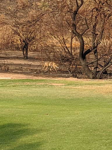 Golf Course «The 500 Club», reviews and photos, 4707 W Pinnacle Peak Rd, Glendale, AZ 85310, USA