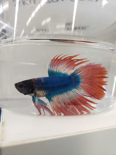 Pet Supply Store «Petco Animal Supplies», reviews and photos, 525 S 5th St, Bismarck, ND 58504, USA