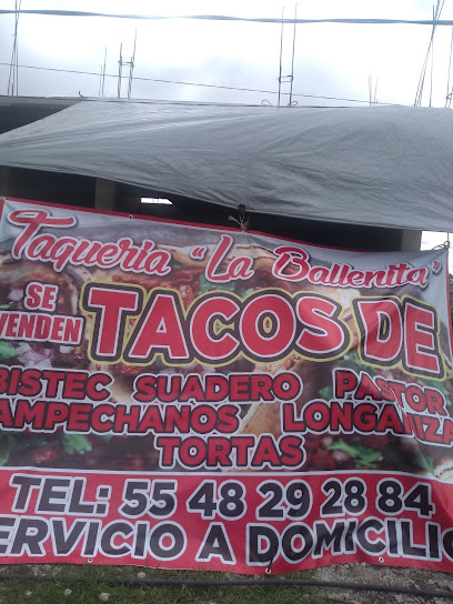 Tacos Ballenita Coma Para Que Su Barriguita Vaya C - 54380 Chapa de Mota, State of Mexico, Mexico