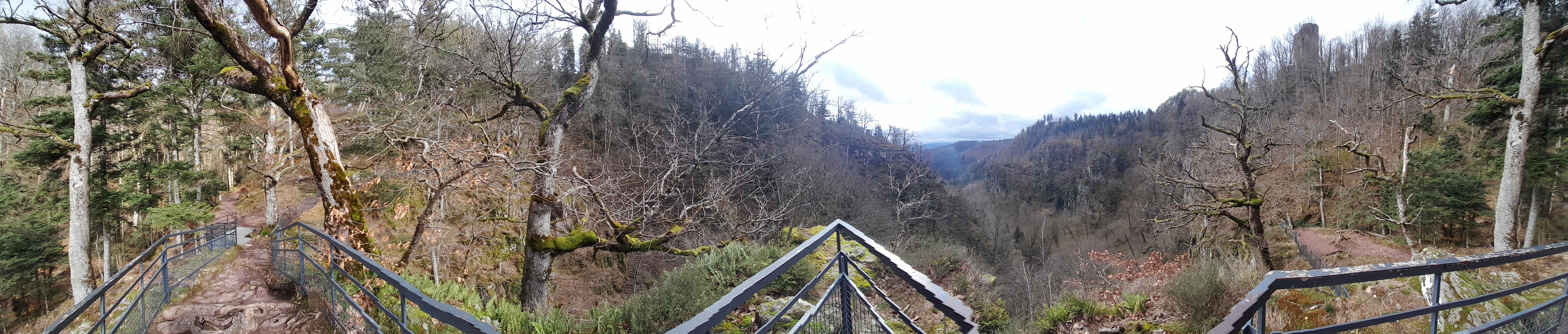 Photo n° 4 de l'avis de Allan. fait le 15/02/2024 à 17:31