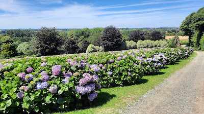 SAS Jardin Hortence à La Roche-Jaudy