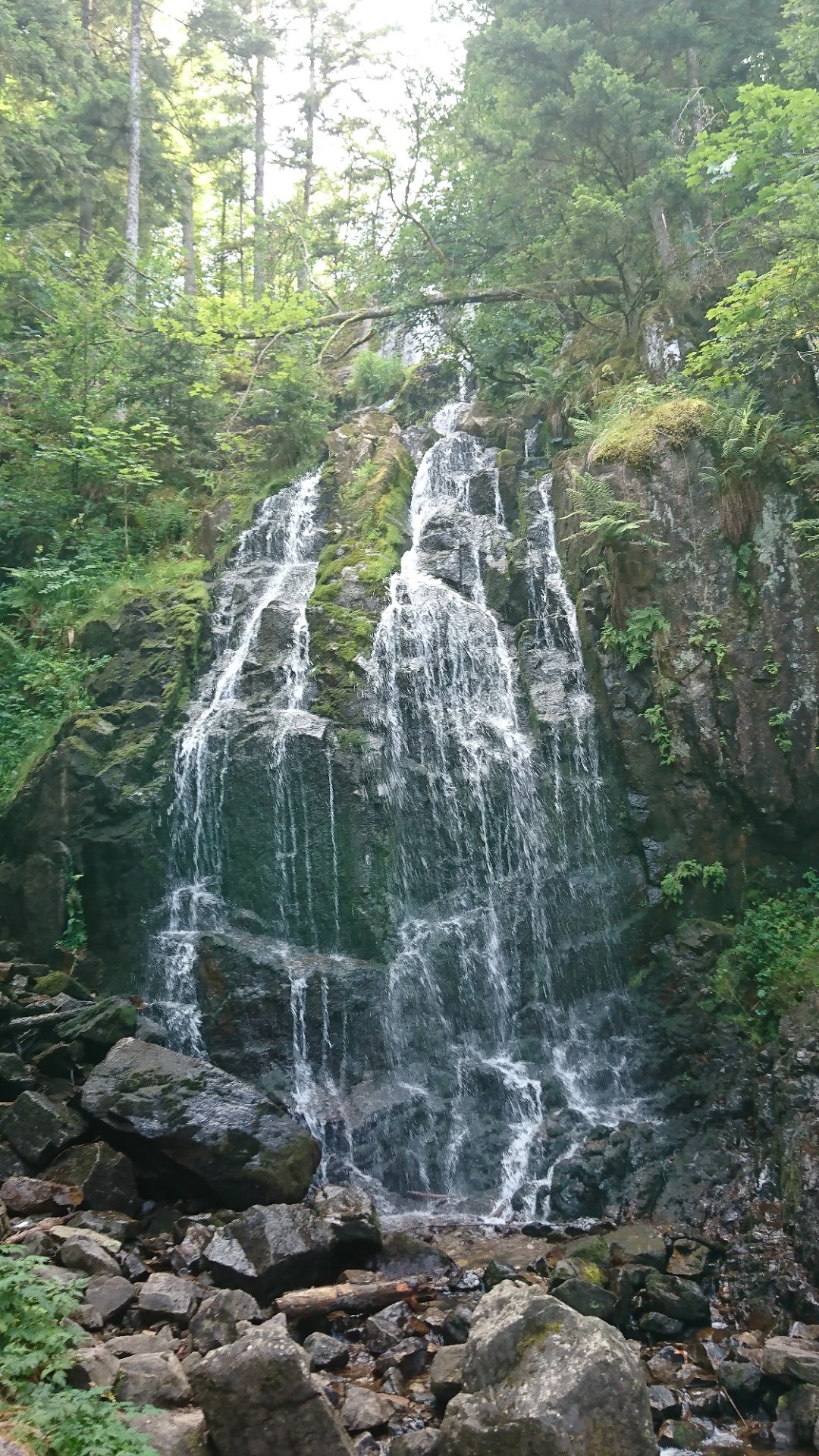 Photo n° 2 de l'avis de Pascal.i fait le 28/07/2018 à 22:51