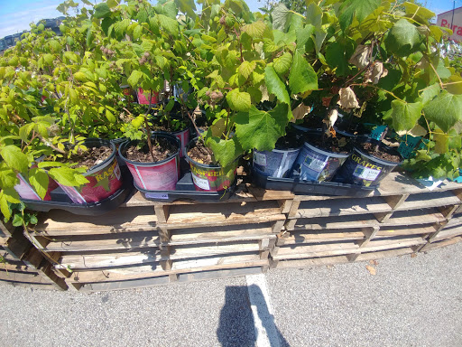 Department Store «Rural King», reviews and photos, 801 Cr-1510-10, Owensboro, KY 42303, USA