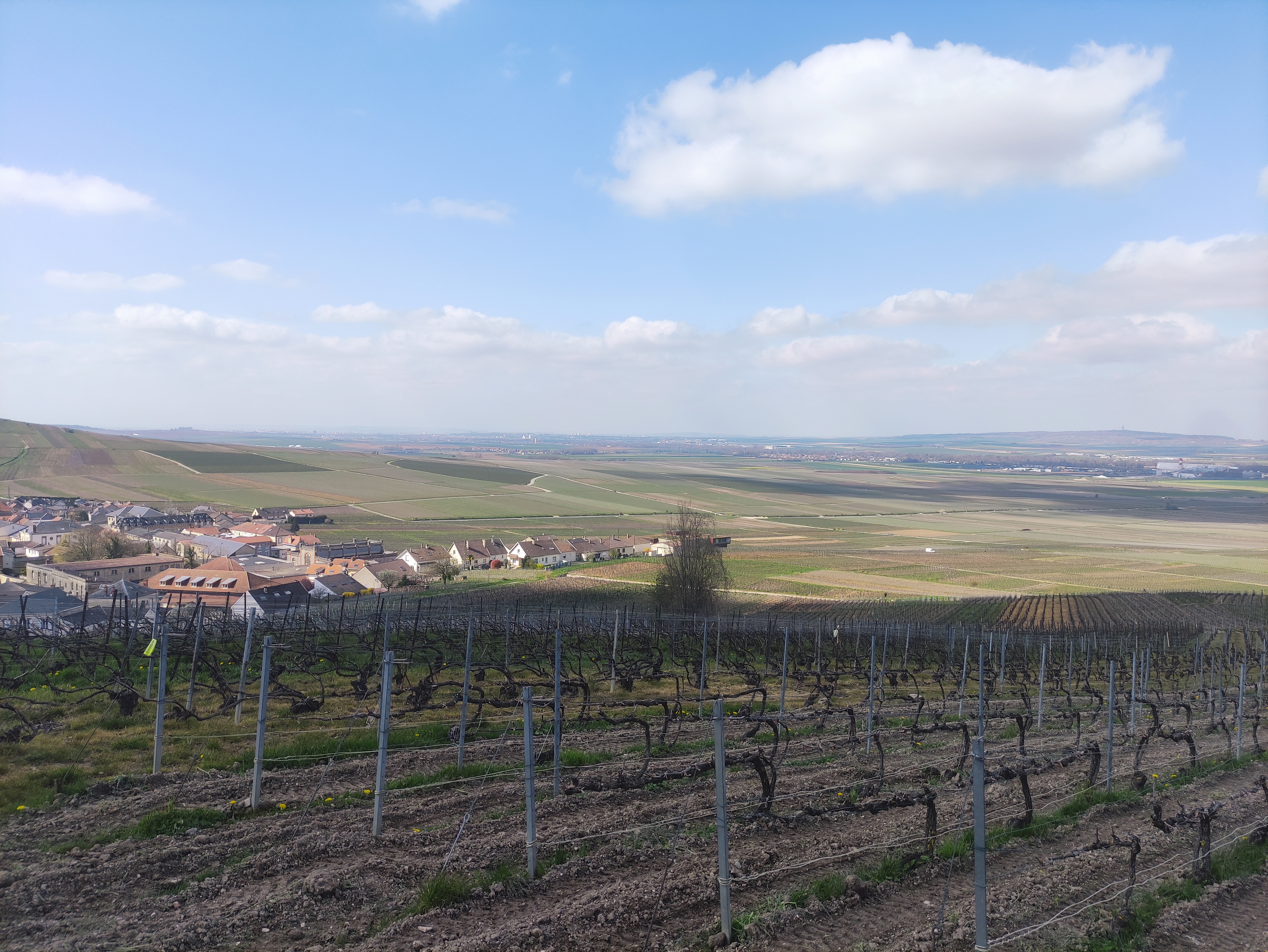 Photo n° 2 de l'avis de Emeric.o fait le 08/04/2023 à 15:57