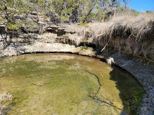 Gift Shop «Dinosaur Valley State Park Store», reviews and photos, 1629 Park Rd 59, Glen Rose, TX 76043, USA