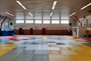 Braunschweiger Judo Club e. V. image