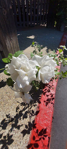 State Park «Moonlight State Beach», reviews and photos, 400 B St, Encinitas, CA 92024, USA