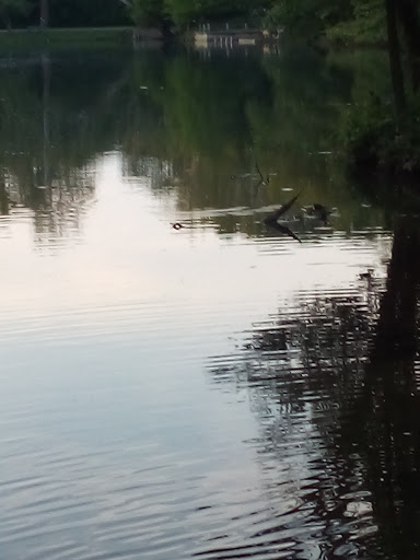 Art Museum «Richmond Art Museum», reviews and photos, 350 Hub Etchison Pkwy, Richmond, IN 47374, USA