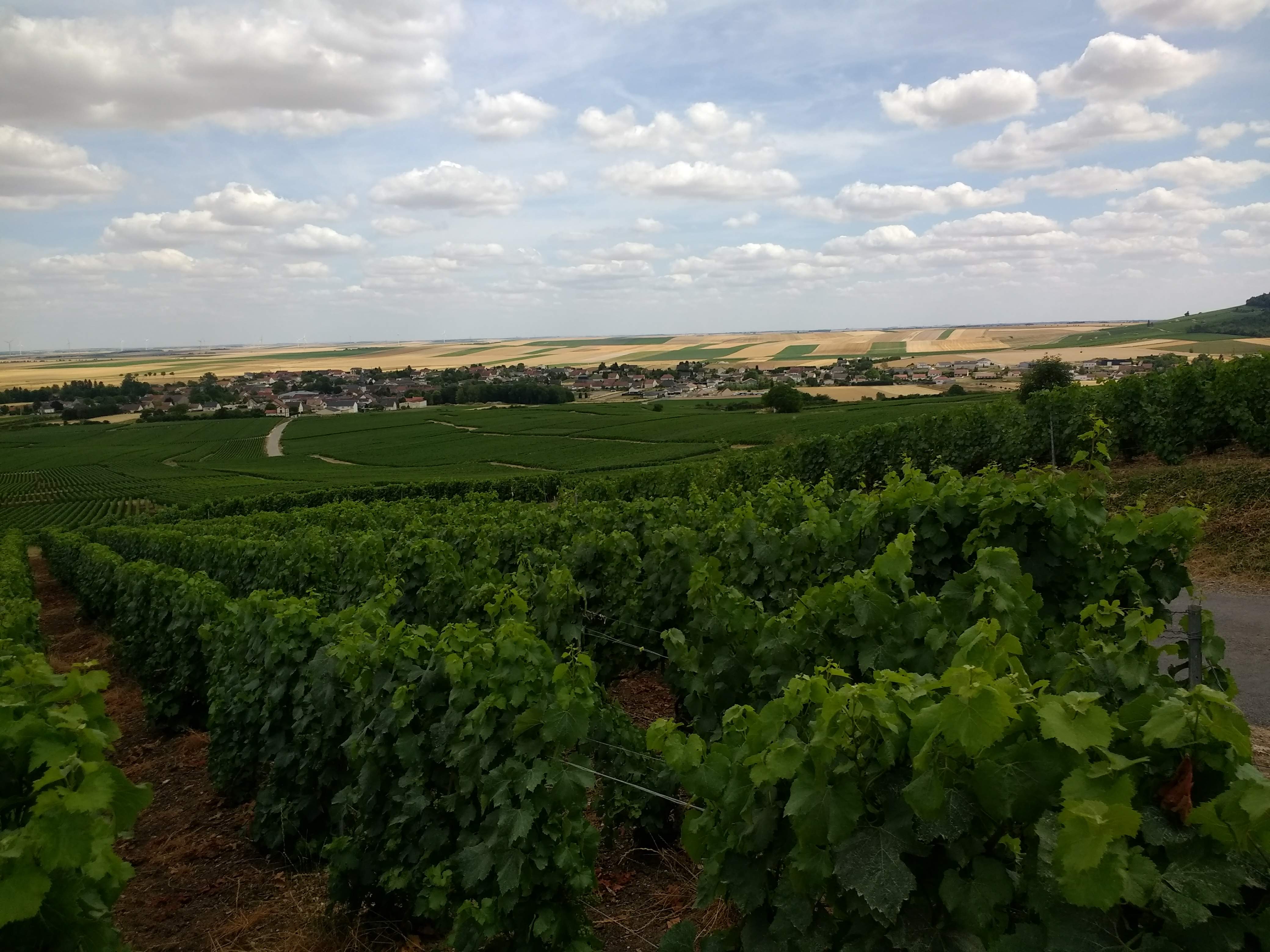 Photo n° 7 de l'avis de philippe.e fait le 21/07/2019 à 18:37