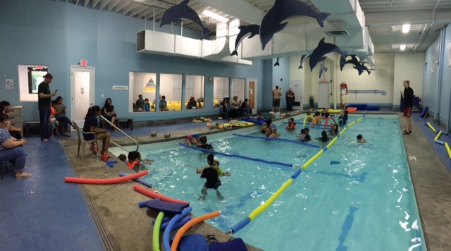 The Little Dolphin Swim Academy