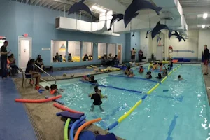 The Little Dolphin Swim Academy image