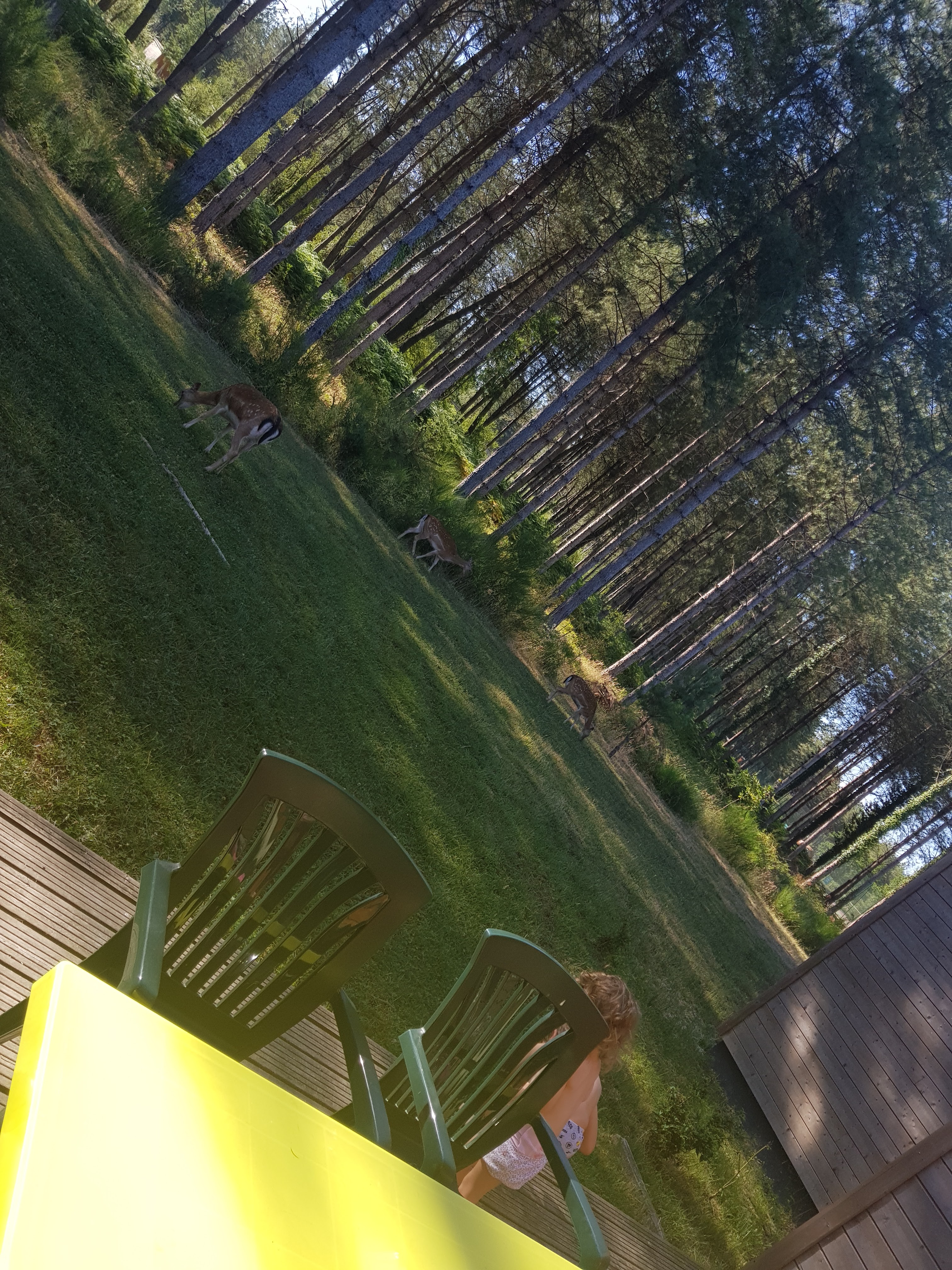 Photo n° 1 de l'avis de jannot.a fait le 22/07/2019 à 19:02