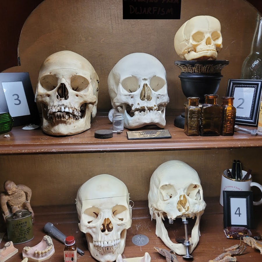 ANATOMY OF DEATH MUSEUM