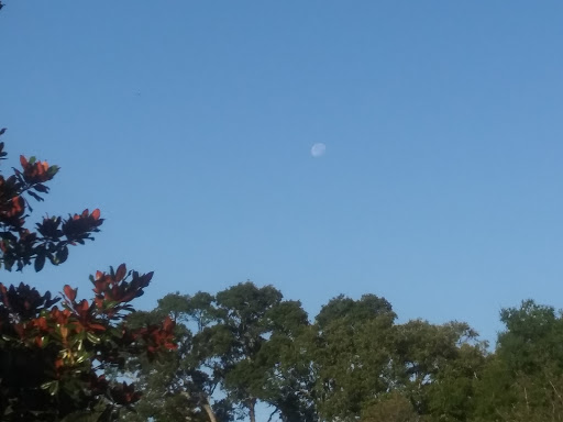 Park «Lincoln Avenue Community Park», reviews and photos, 1200 N Unser St, Mt Dora, FL 32757, USA