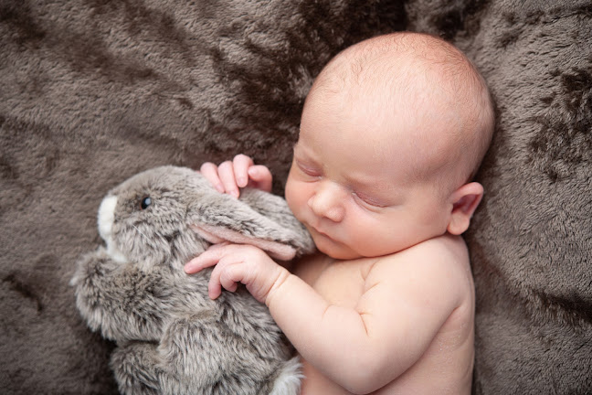 865 Rue Maurice Bokanowski, 54200 Toul