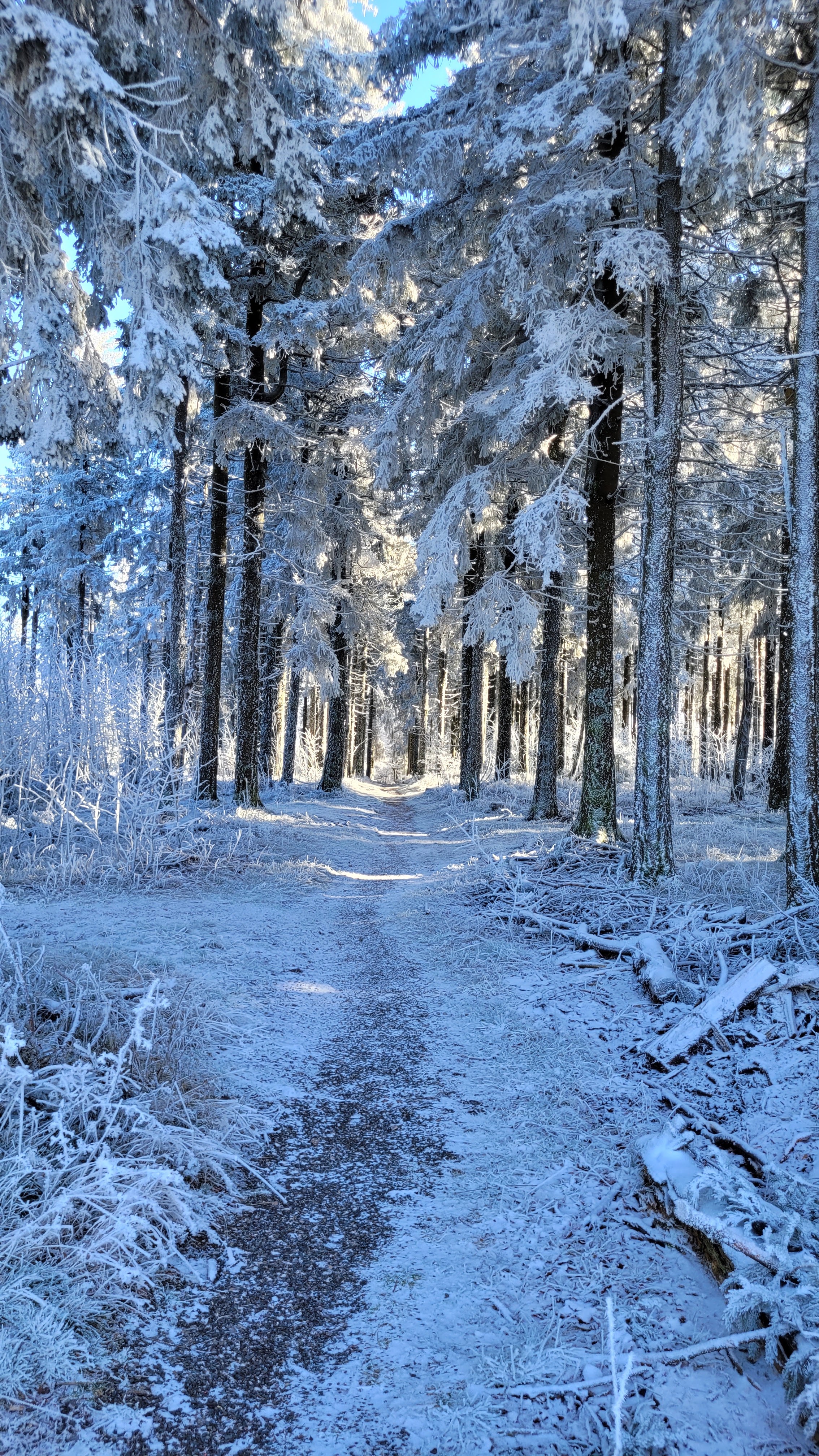 Photo n° 3 de l'avis de Jean-pierre.J fait le 13/12/2022 à 19:20