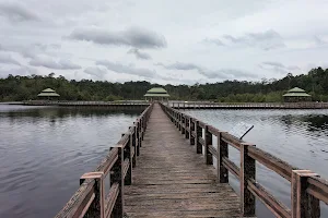 Labi Forest Reserve image