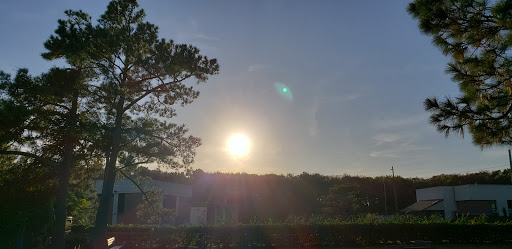 Army & Navy Surplus Shop «Navy Exchange-Dam Neck Annex», reviews and photos, 1977 Terrier Ave, Virginia Beach, VA 23461, USA