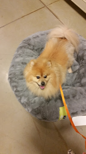 Pet Supply Store «PetSmart», reviews and photos, 4500 Mitchellville Rd, Bowie, MD 20716, USA