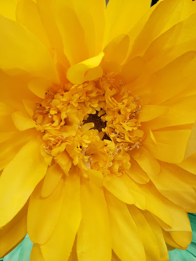 Craft Store «A.C. Moore Arts and Crafts», reviews and photos, 5007 Victory Blvd, Yorktown, VA 23693, USA