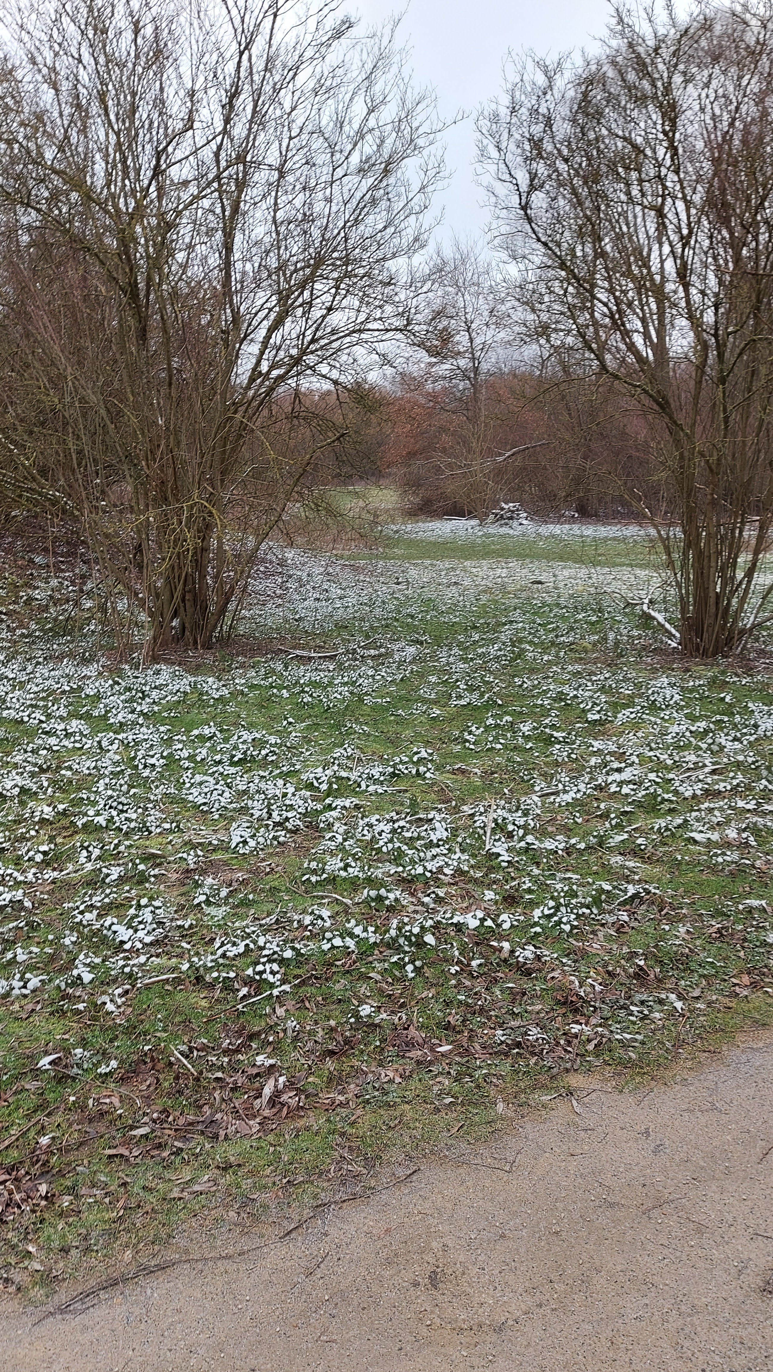 Photo n° 1 de l'avis de Micheline.a fait le 09/02/2021 à 15:38