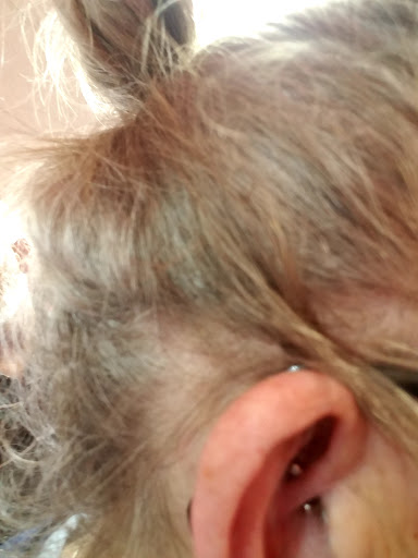 Tattoo Shop «Fat Cats Tattoos», reviews and photos, 111 State Rd NW, Warren, OH 44483, USA