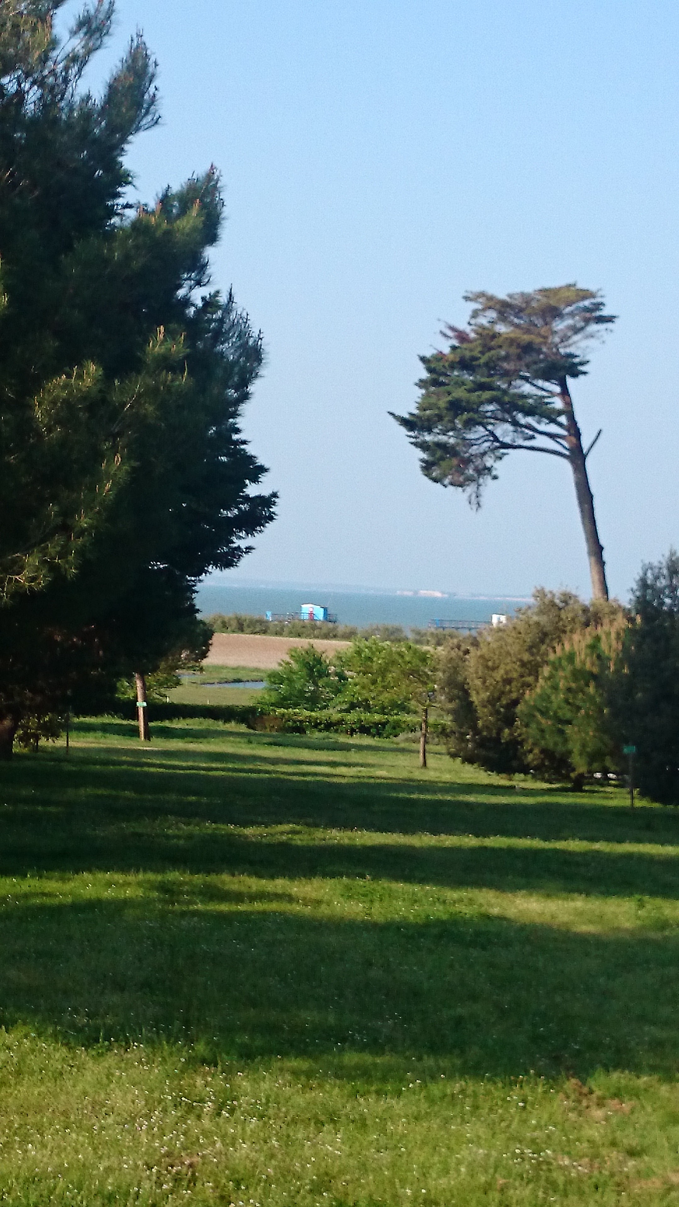 Photo n° 2 de l'avis de Domimique.e fait le 28/05/2018 à 11:05