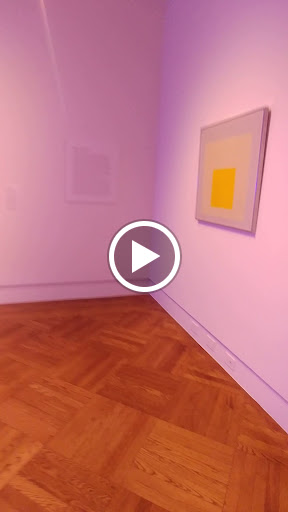 Art Museum «Norton Museum of Art», reviews and photos, 1451 S Olive Ave, West Palm Beach, FL 33401, USA