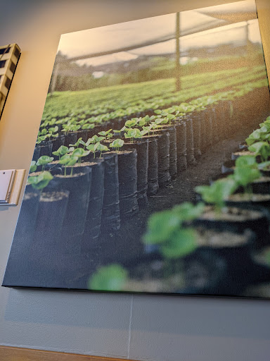 Coffee Shop «Starbucks», reviews and photos, 42825 Woodward Ave, Bloomfield Hills, MI 48304, USA